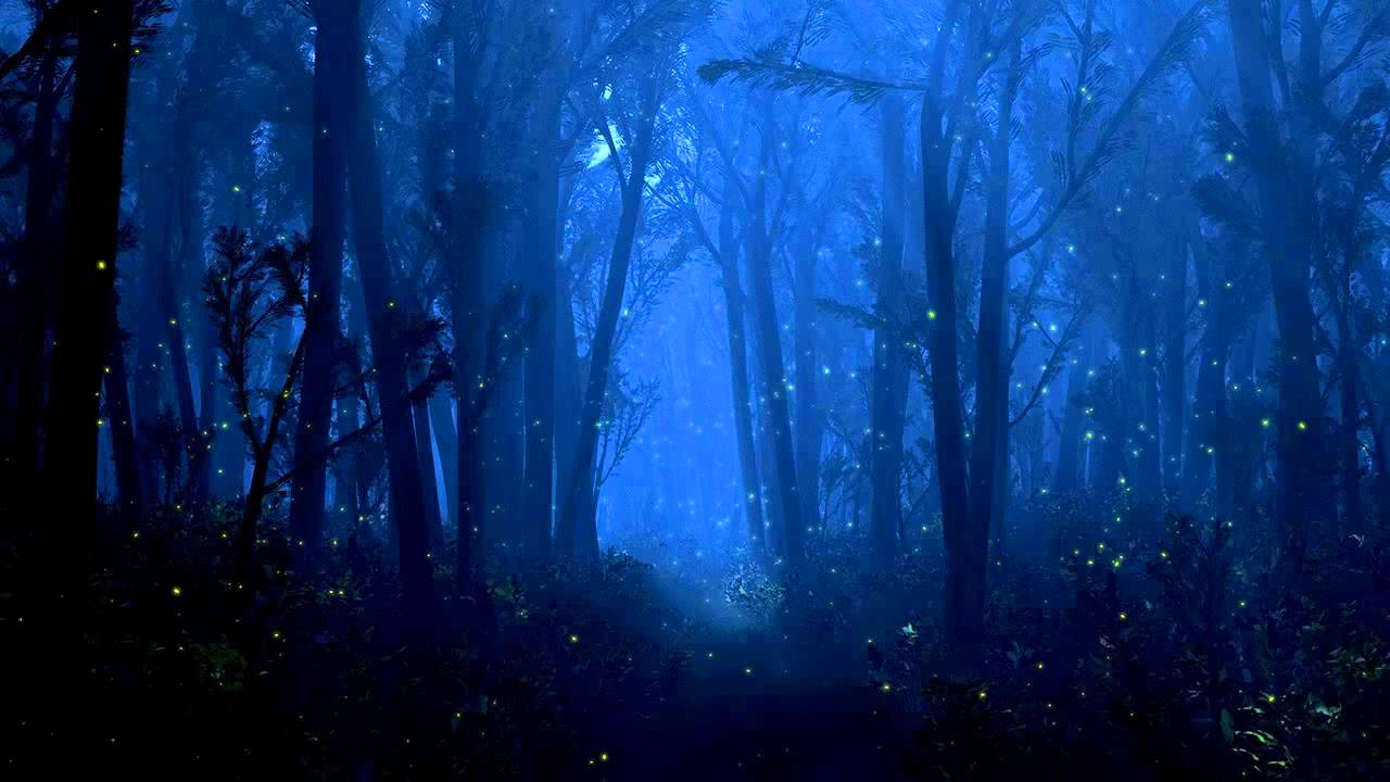 A dark forest scene illuminated by a blue glow, with tall trees and numerous small lights scattered throughout, resembling fireflies.